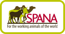 visit the SPANA website